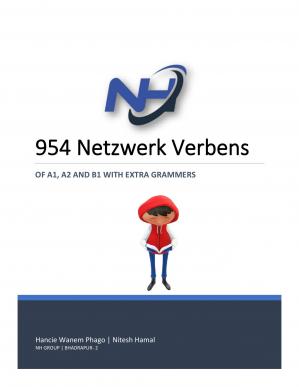 954 Netzwerk Verbens of A1, A2 and B1 with extra grammer