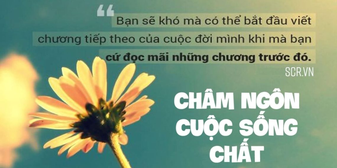 triet ly cuoc song vui